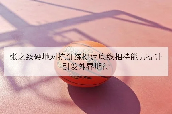 张之臻硬地对抗训练提速底线相持能力提升引发外界期待